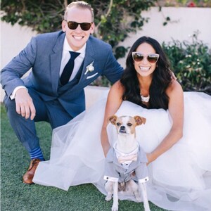 Grey Dog Tuxedo and Satin Shirt (custom tuxedo and bow colors available)