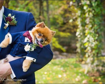 Navy Blue Wedding Dog Tuxedo/ 2 Piece Shirt and Jacket (Custom Bow Tie Colors Available)