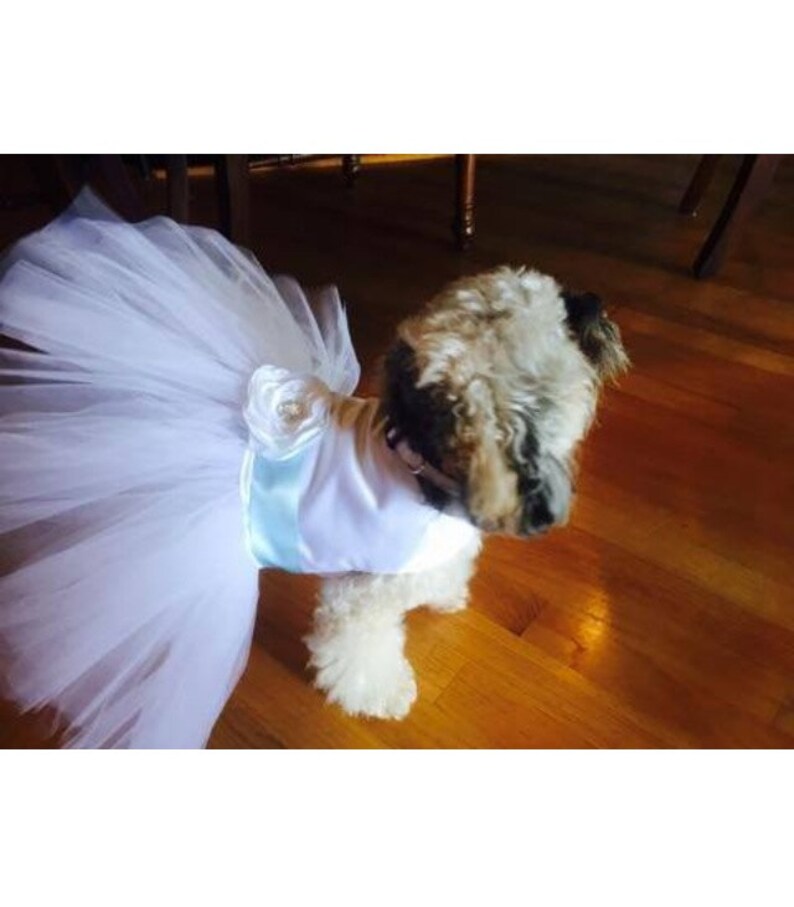 custom sash colors available Ivory or White Wedding Dog Dress