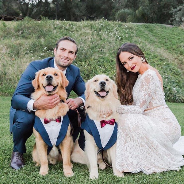 Navy Blue Wedding Dog Tuxedo (Custom Colors Available)