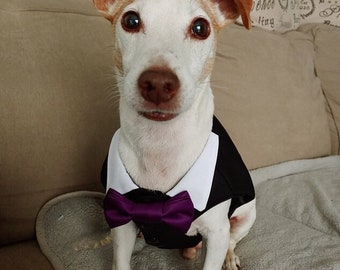 Black, Grey, Navy Dog Tuxedo Vest (Custom Color Bow Ties Available)