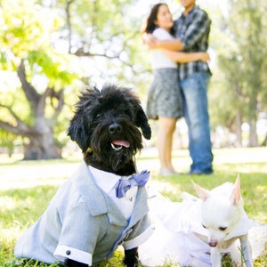 Grey Dog Tuxedo and Satin Shirt (custom tuxedo and bow colors available)