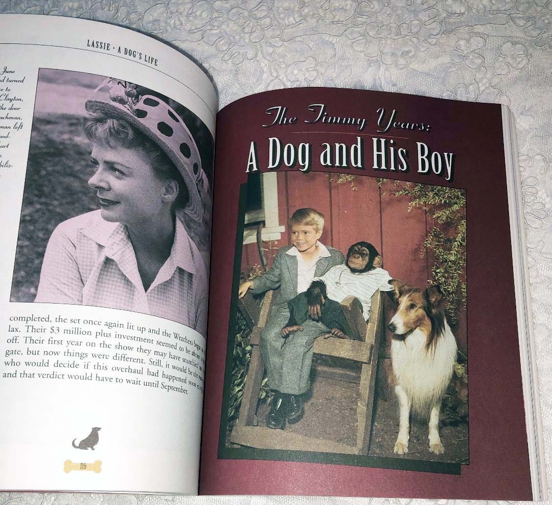 DVD【HOUNDDOG THE ROLLING50s &amp;THE Book】 71r069wfyrL._AC_SY200_QL15_.jpg