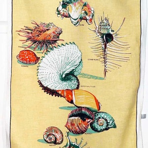 May include: A yellow tea towel featuring illustrations of various Australian seashells, including the Wentletrap, Clam, and Thorny Oyster. The towel has a white border and text that reads "Australian Shells" and "Designed in Australia."