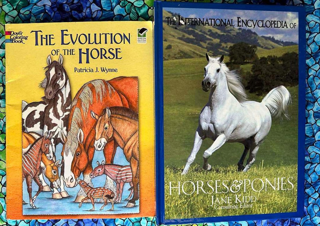 2 HORSE HORSES ENCYCLOPEDIA Hardbound & Coloring Book Evolution of the ...