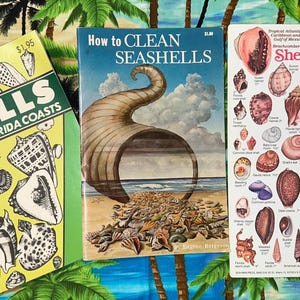 May include: Three vintage books and guides about seashells. The left book is titled Hall's Shells of the Florida Coasts. The center book is titled How to Clean Seashells. The right guide is titled Tropical Atlantic, Caribbean and the Gulf of Mexico Shells.