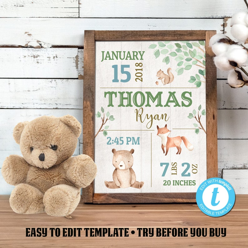 Birth Stats Printable Wall Art, Baby Boy Birth Stats, Woodland Animals Birth Stats Print, New Baby Gift, Instant Download, Easy Edit image 1