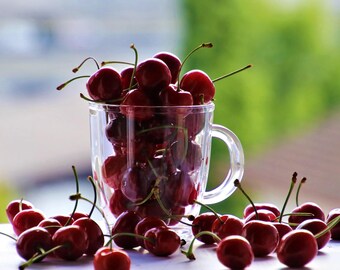 Health Tips PLR Articles Bundle for Bloggers, Customer Relations (50+ Articles)