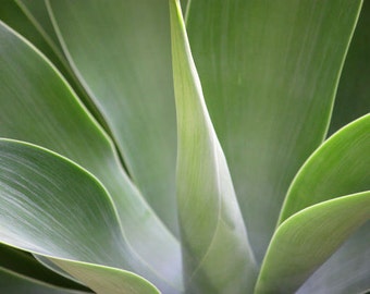 Going Green PLR 10 Article Package Special for Etsy Sellers with Green Products