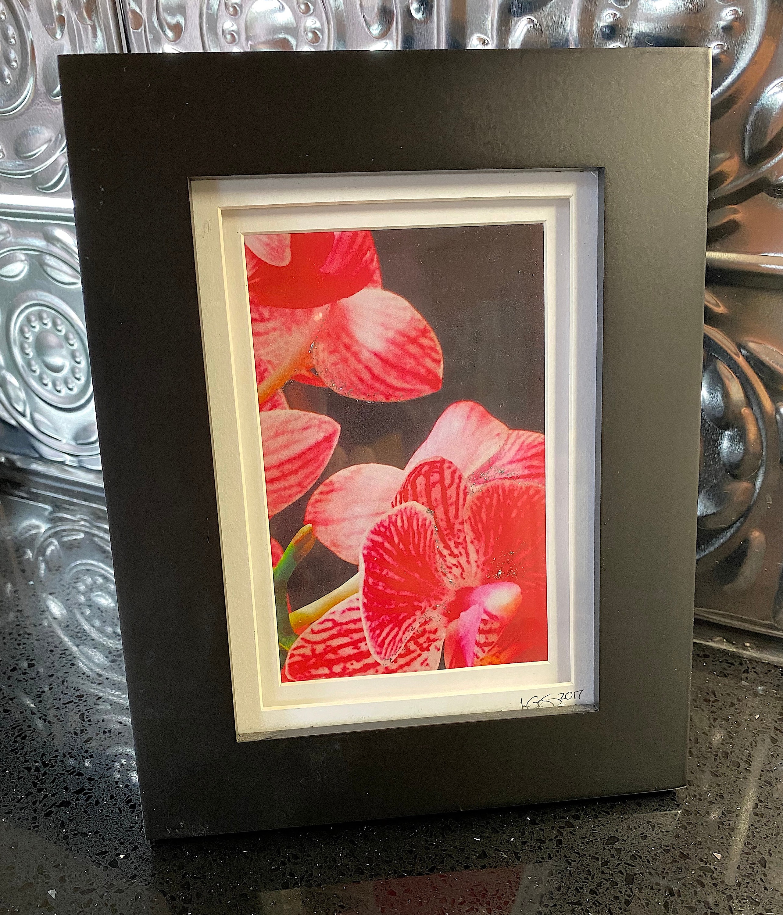 Framed Original Orchid Photo - Etsy