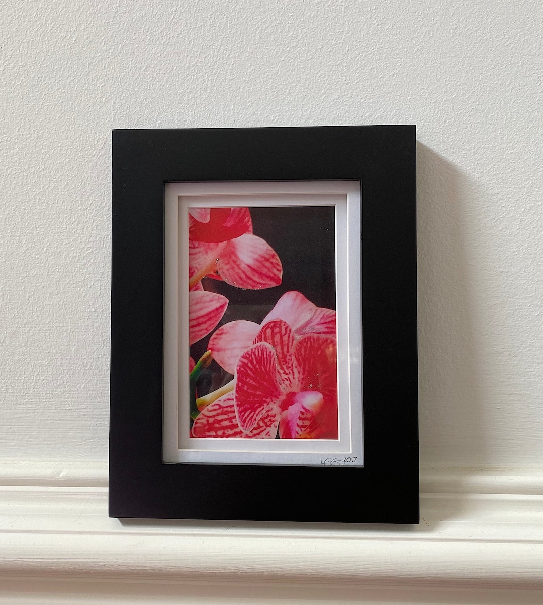 Framed Original Orchid Photo - Etsy