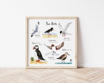 Seabirds Poster - Wall Art - Wall Decor - 6 Illustrated Seabirds