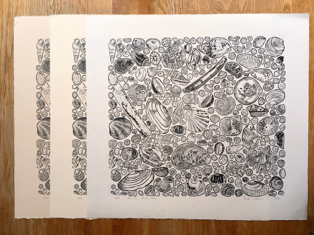 Shell Collection Linocut - Seconds Print - Etsy