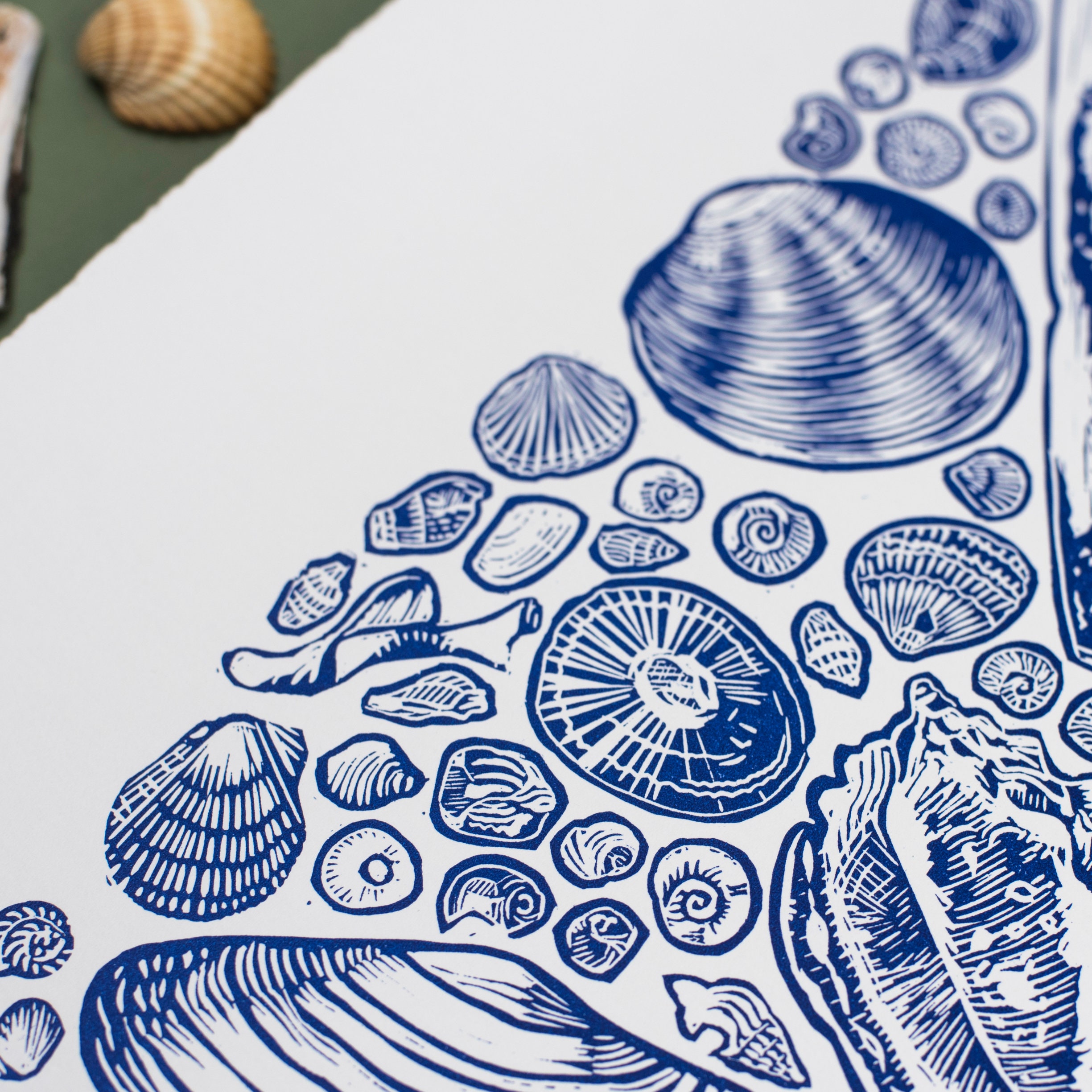 Shell Collection Linocut Print – Coastal Blue Art, Limited Edition ...