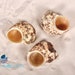 see more listings in the Hermit Crab Shells Land section