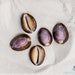 see more listings in the Cowrie Shells section