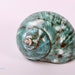 see more listings in the Hermit Crab Shells Land section