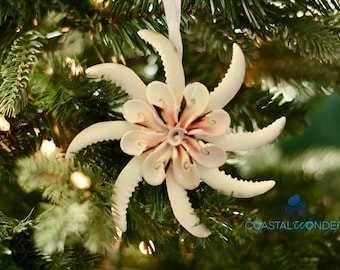 Luhana and Cowrie Seashell Pinwheel Ornament with Ribbon Christmas Holiday Beach Coastal Decor