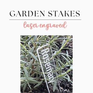 May include: A clear plastic garden stake with the word "Rosemary" laser engraved on it. The stake is inserted into a rosemary plant.