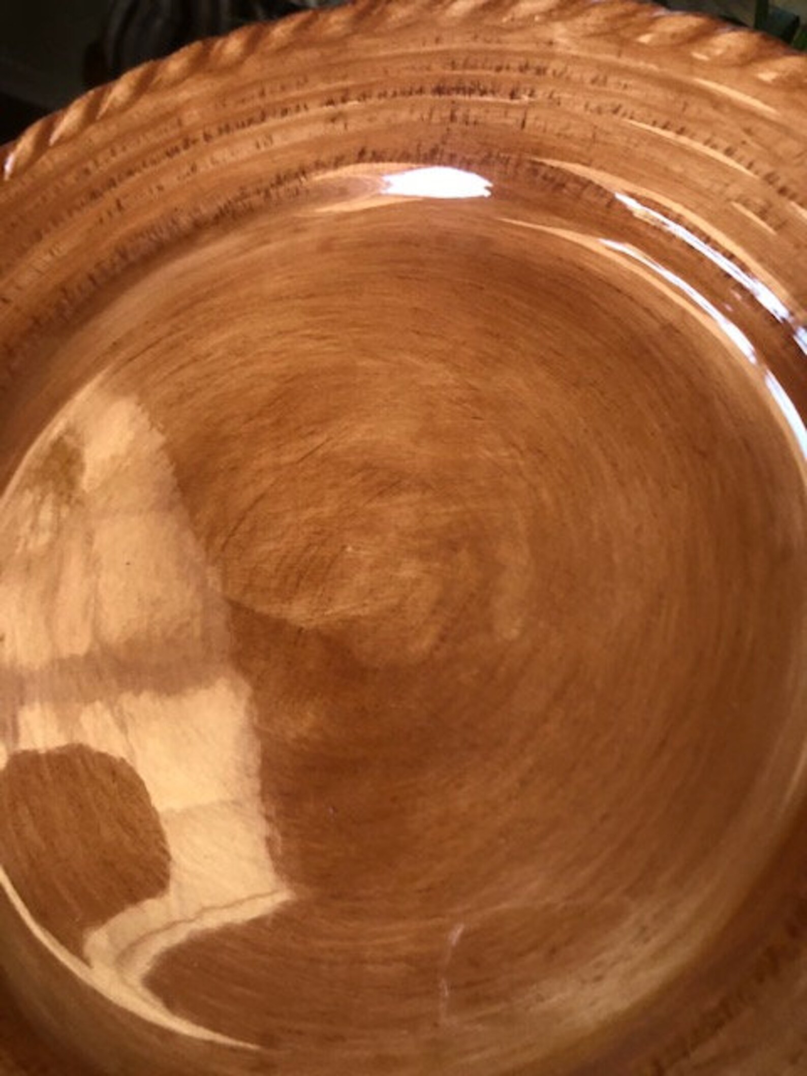 Lucca Pottery Plate by Z Gallerie. Rope Edge Western Cowboy 11 1/2