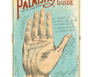 Cavallini & Co. Palmistry Guide Poster, Archival Paper, Matte Print, 5 Pack
