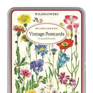 Cavallini & Co Wildflowers Vintage Style Postcard Set, Assorted
