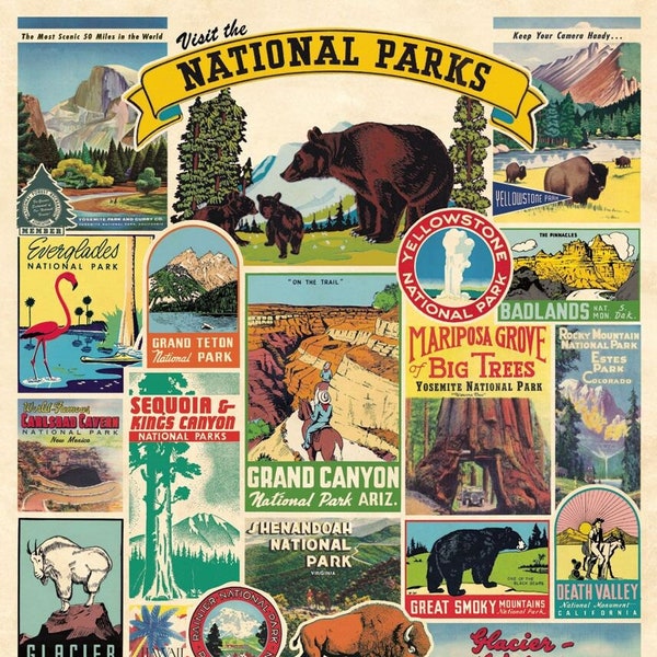 Cavallini & Co. National Parks Decorative Paper Sheet / Poster
