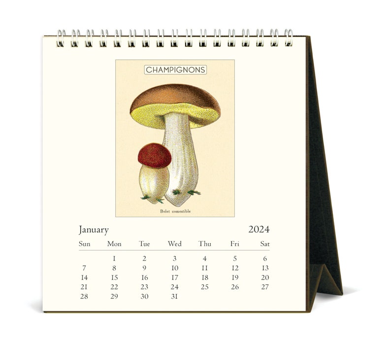 Cavallini & Co. 2024 Easel Desk Calendar / Mushrooms Etsy