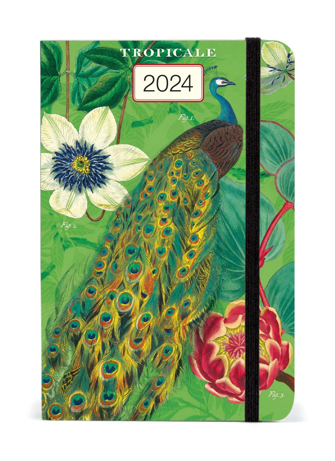 Cavallini & Co. 2024 Pocket Weekly Planner / Tropical Etsy