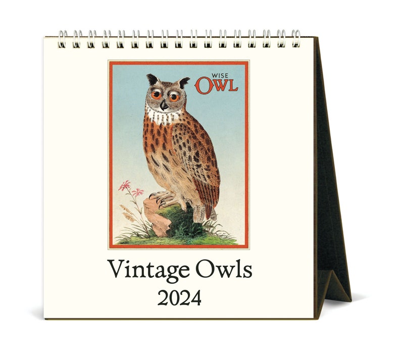 Cavallini & Co. 2024 Easel Desk Calendar / Vintage Owls Etsy