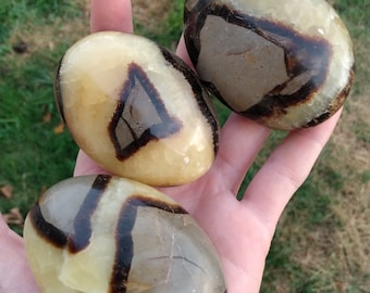 Septarian Palm Stones, Dragon stone, Polished Septarian, Aragonite