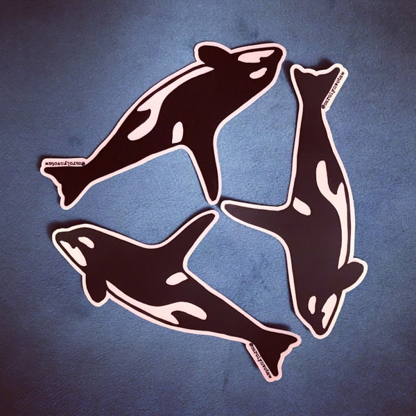 Orca Whale Sticker • Killer Whale • Olympic Peninsula • WA State • Pacific Northwest • Orcas Island • Puget Sound • San Juan Islands