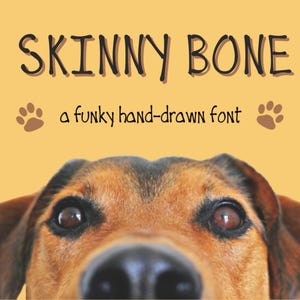May include: A close-up of a dog's face, with the text "SKINNY BONE a funky hand-drawn font" above the dog.