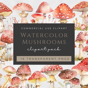 Clipart champignon PNG 16 aquarelle forêt enchantée magique maison de fée enfants forêt fantastique champignon vénéneux Art graphiques mignons téléchargement immédiat