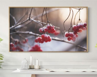 Samsung Frame TV Art Red Berries Snow Holiday Frame TV Art Winter Christmas Frame Winter Home Decor Instant Download