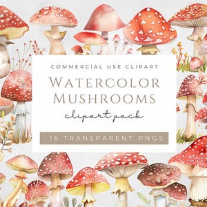 Clipart champignon PNG 16 aquarelle forêt enchantée magique maison de fée enfants forêt fantastique champignon vénéneux Art graphiques mignons téléchargement immédiat