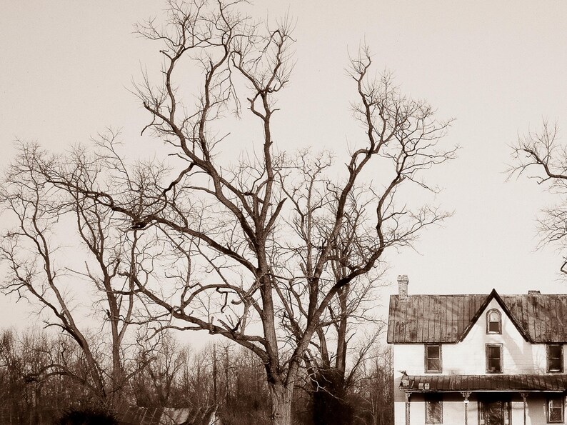 Halloween Frame TV Art Scary Black White Spooky House Samsung Frame TV