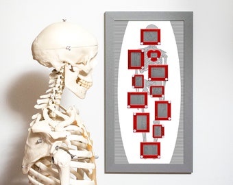 Skeleton Etch A Sketch art series - 10x20 print | Skeleton art | Macabre art | Anatomical art | Anatomy classroom poster