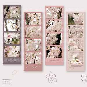 Cherry Blossom Photostrip Sticker Set (Kiss Cut, rosa, Blumen, Sakura, Fotos)