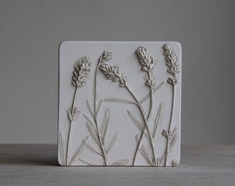 Lavanda