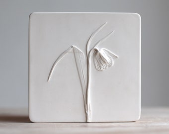 Fritillaria