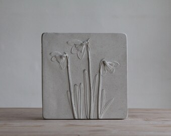 Snowdrops in Concrete