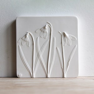 Snowdrops