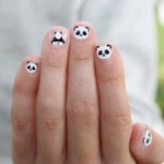 Panda Accessories