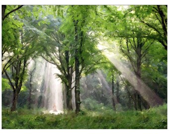 FREE SHIPPING over 35 - Light Descending - Unframed Giclee Canvas Print - Joseph Smith - First Vision Sacred Grove Art Painting  lds 30% off