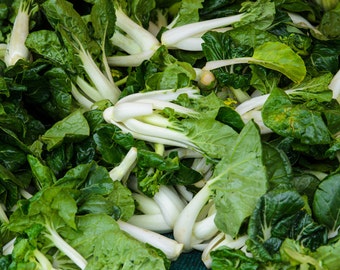 Food Photography - Green Chard - Farmers Market - San Francisco, CA - Fine Art Photograph - Kitchen Wall Art