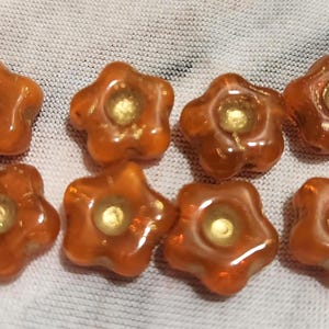 Eight 11mm flower in translucent orange Czech glass beads