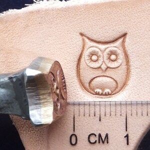 016-09 OWL Leather stamp 10x12 mm 6/16'' to 8/16'' brass surface image 4
