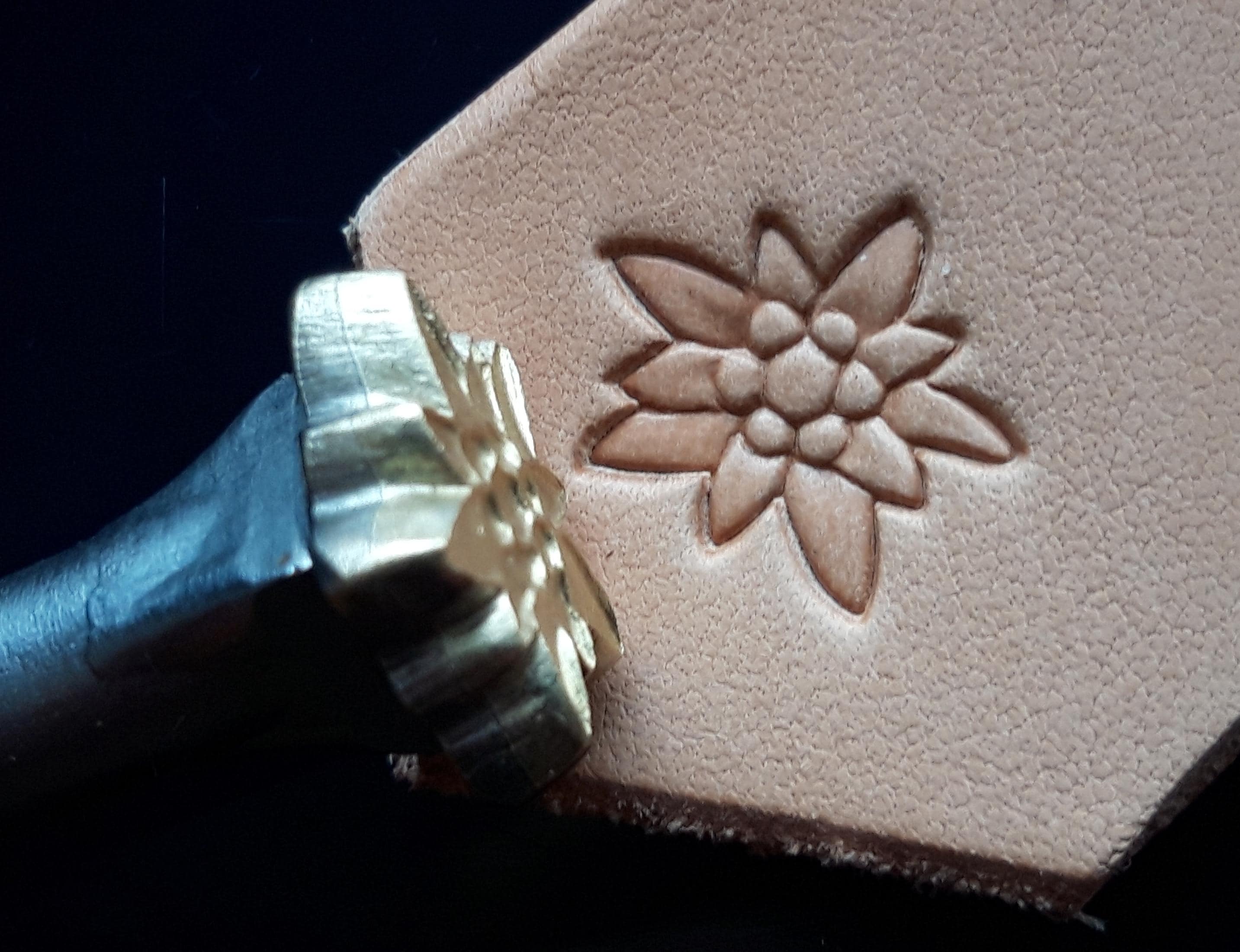 015-02 Edelweiss Mountain Flower Leather Saddlery Tool Punch 3D Brass stamp