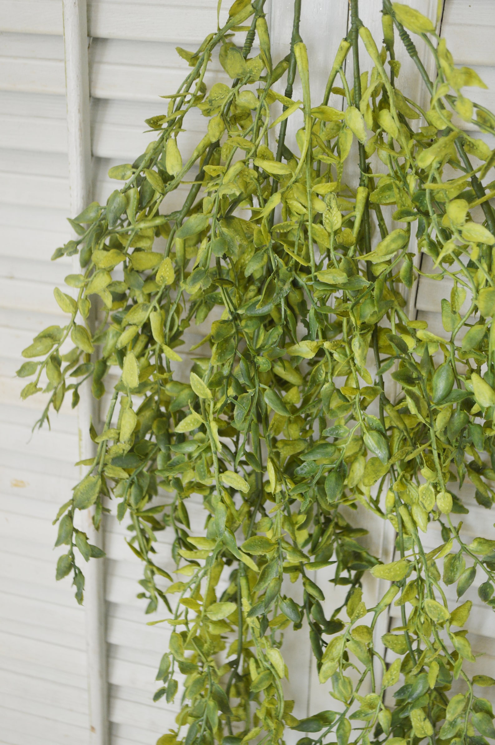 Plastic Greenery Stem Greenery Greenery Stems Floral Etsy